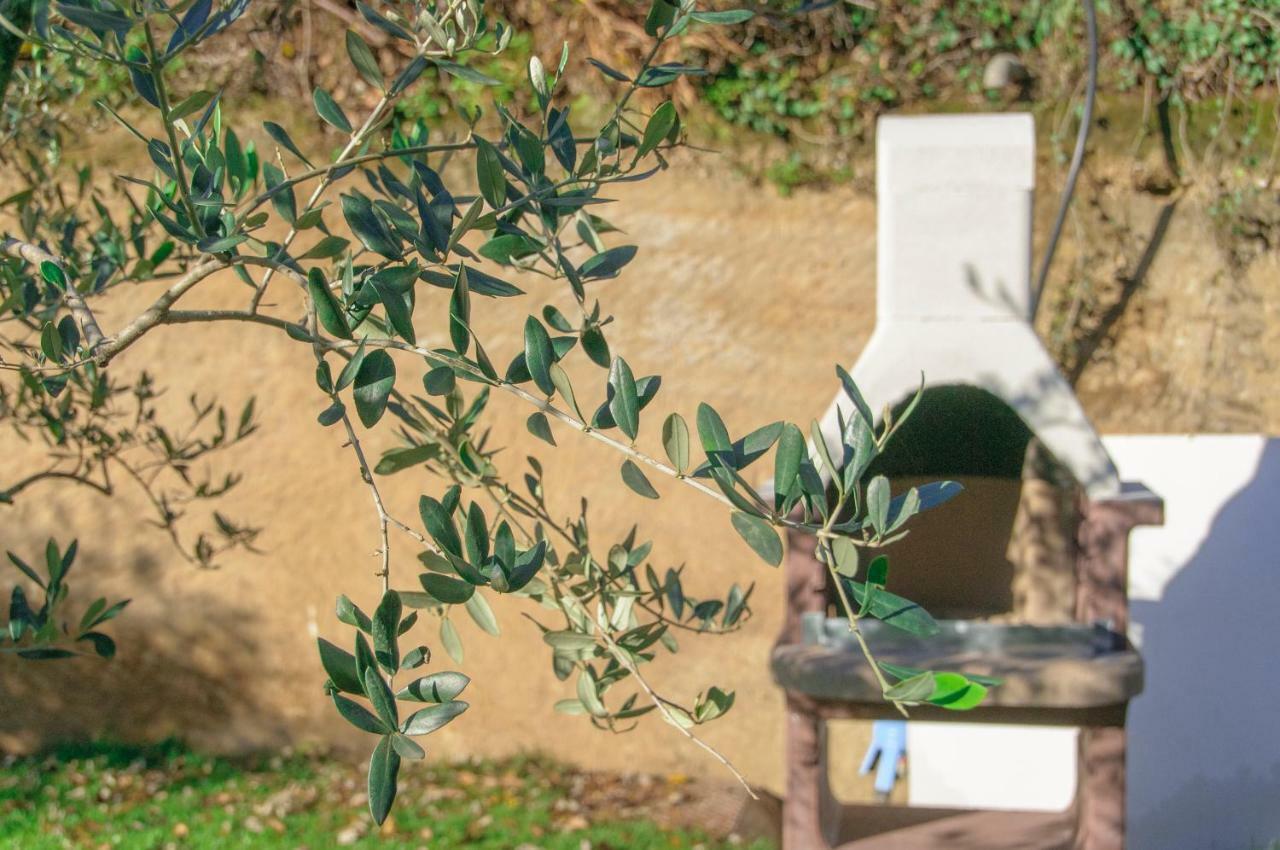 Oleeva Apartment ريفا ديل غاردا المظهر الخارجي الصورة